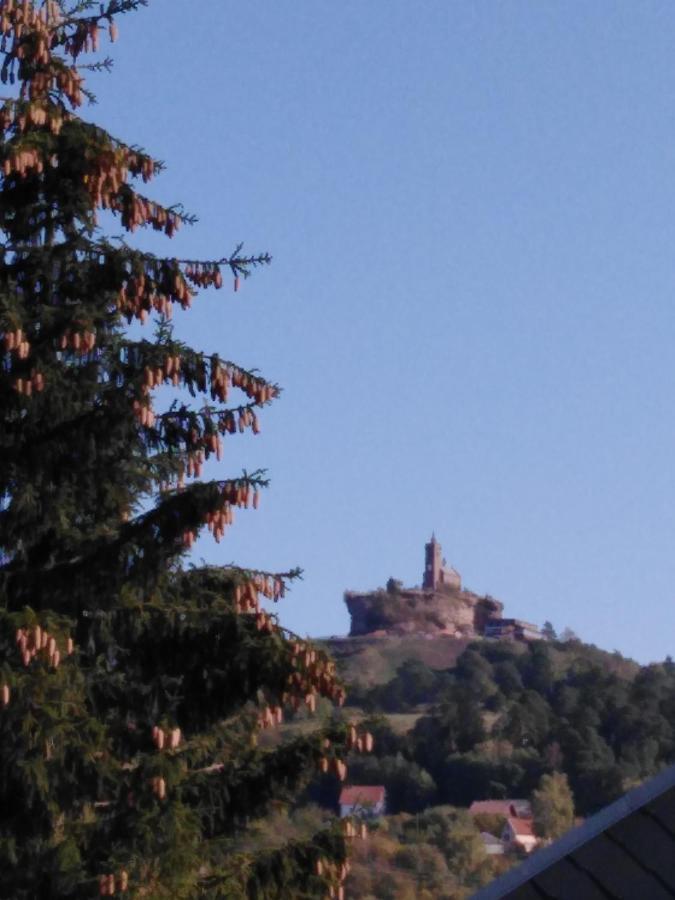 Le Gite Du Bucheron Dabo Exteriör bild